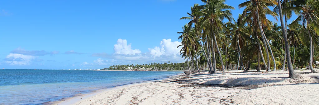 Cabeza de Toro, playa tranquila con cocoteros en Punta Cana